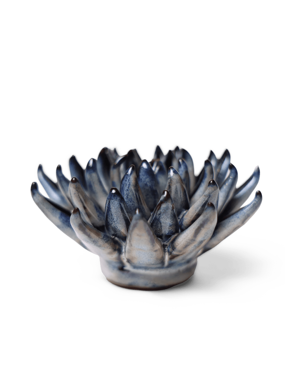 JA16 Navy Blue Chalksticks Succulent - Chive US Wholesale