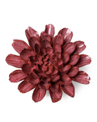 JA17 Blush Pink Star Dahlia - Chive US Wholesale