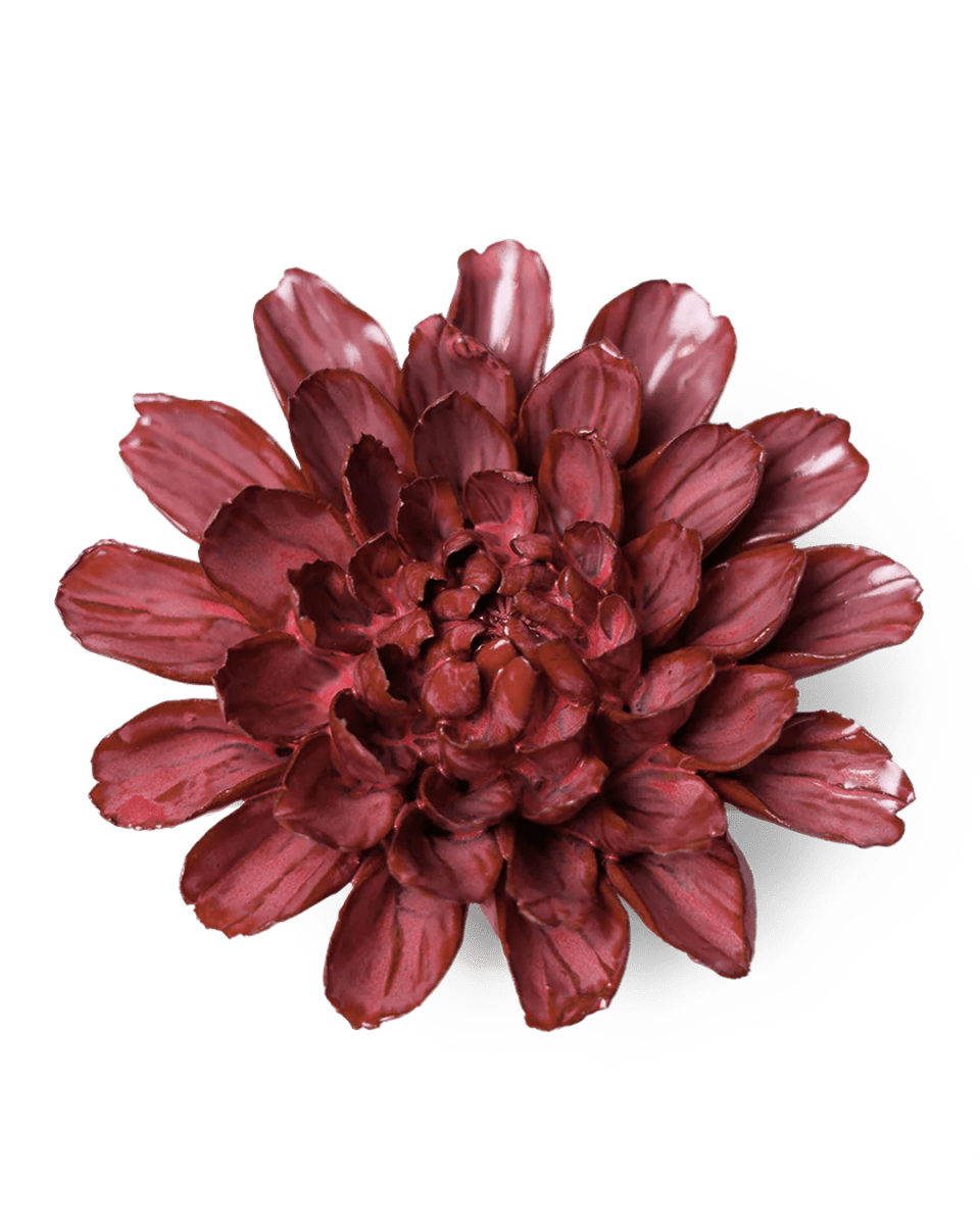 JA17 Blush Pink Star Dahlia - Chive US Wholesale