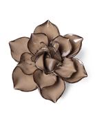 JA18 Latte Daffodil - Chive US Wholesale