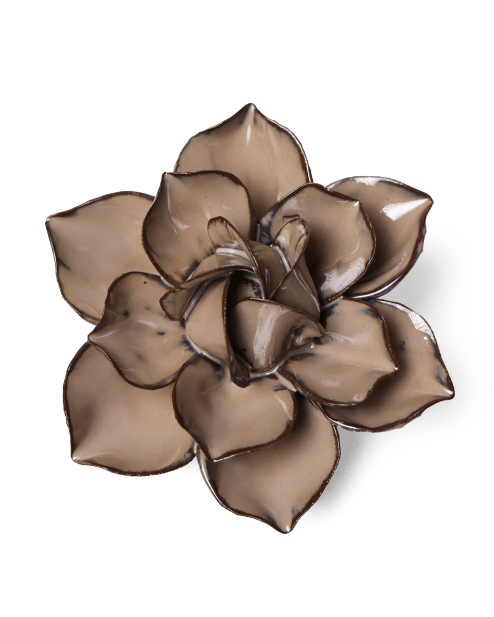 JA18 Latte Daffodil - Chive US Wholesale