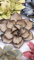 JA18 Latte Daffodil - Chive US Wholesale