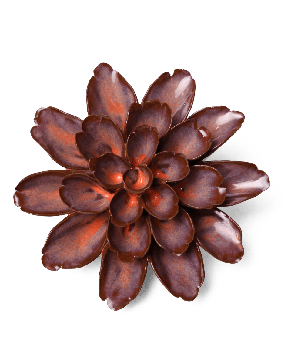 JA19 Peach Mocha Cornflower - Chive US Wholesale