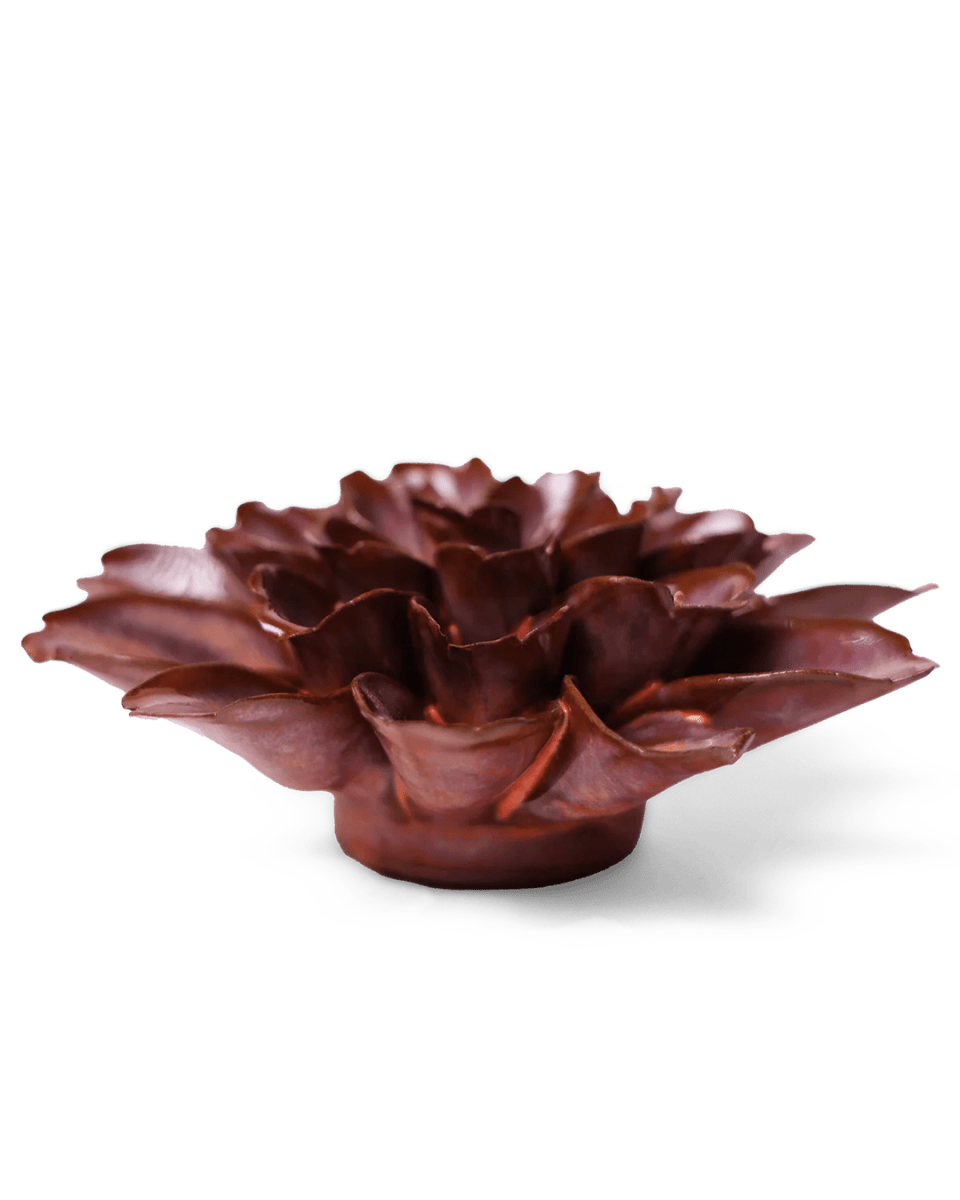 JA19 Peach Mocha Cornflower - Chive US Wholesale