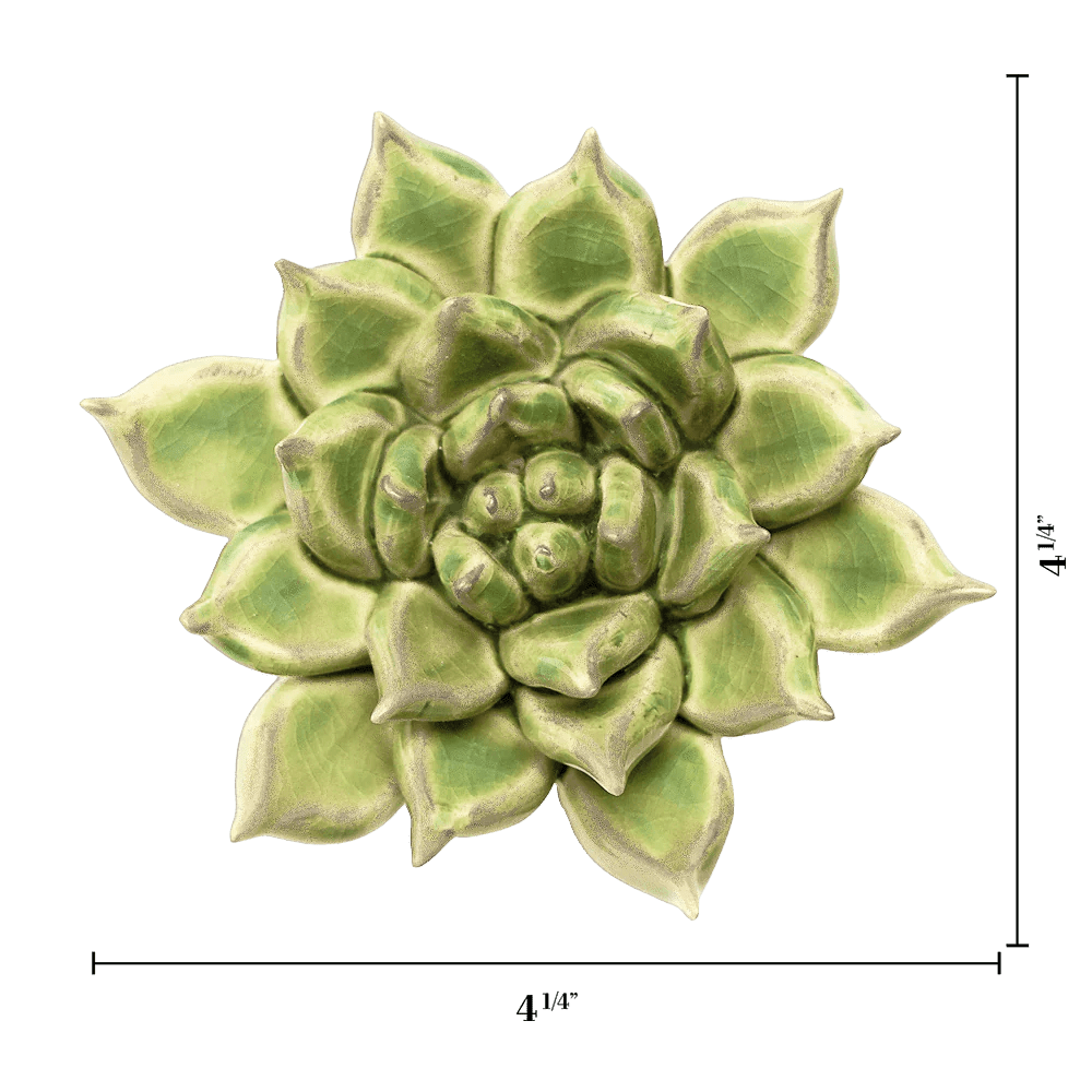 JA20 Pea Green Ghost Succulent - Chive US Wholesale