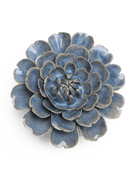 JA21 Fancy Blue Fiesta Marigold - Chive US Wholesale