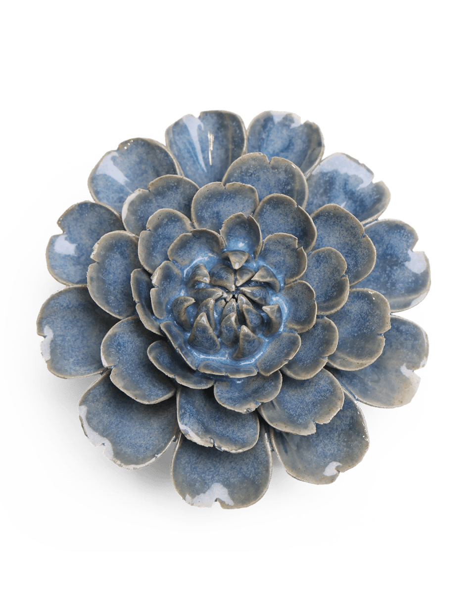 JA21 Fancy Blue Fiesta Marigold - Chive US Wholesale