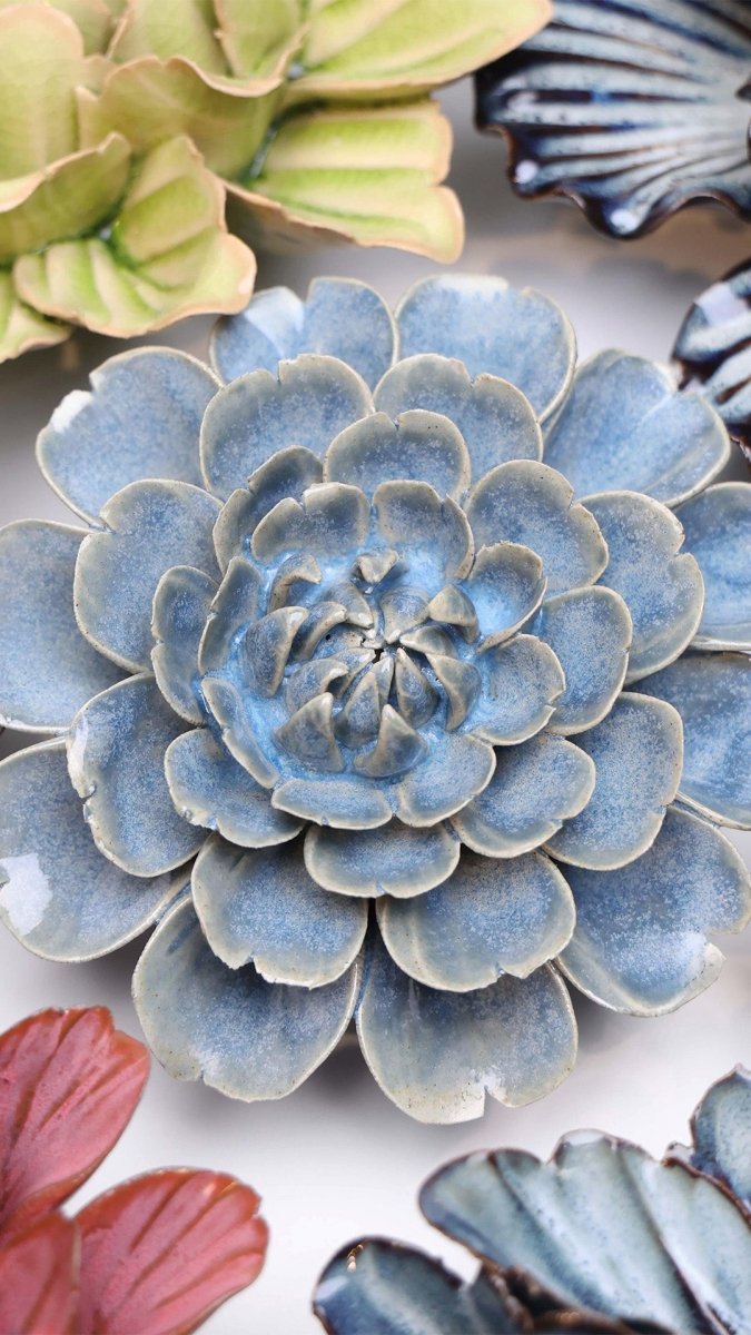 JA21 Fancy Blue Fiesta Marigold - Chive US Wholesale