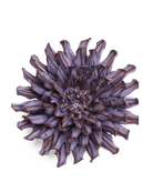 JA22 Violet Blue Fleur De Lis Mum - Chive US Wholesale