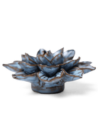 JA23 Seasonal Blue Frikartii Aster - Chive US Wholesale