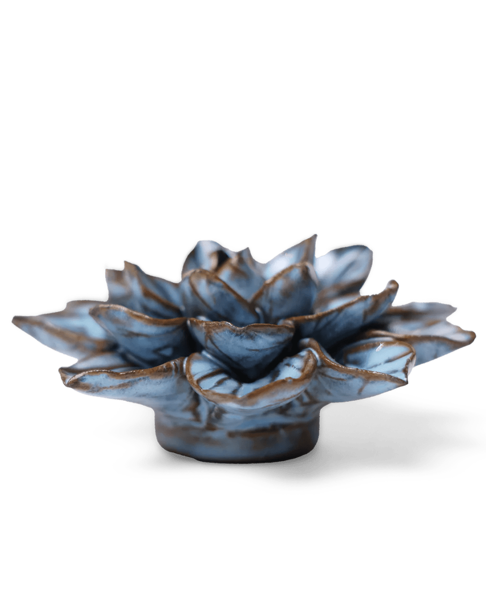 JA23 Seasonal Blue Frikartii Aster - Chive US Wholesale