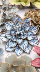 JA23 Seasonal Blue Frikartii Aster - Chive US Wholesale