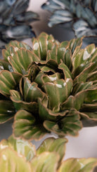 JA26 Avocado Green Sorbet Peony - Chive US Wholesale