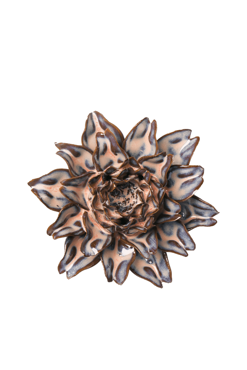 JA29 Pink Blue King Protea - Chive US Wholesale