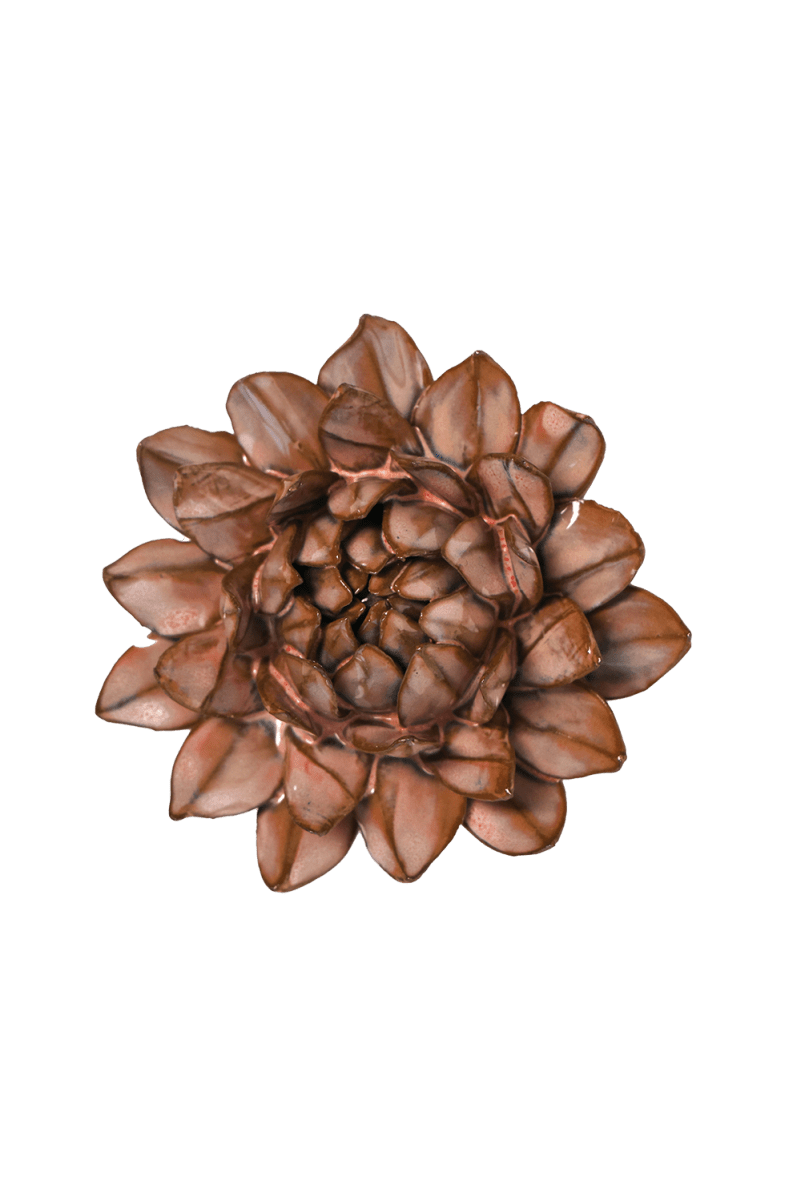 JA30 Chestnut Sugarbush Protea - Chive US Wholesale