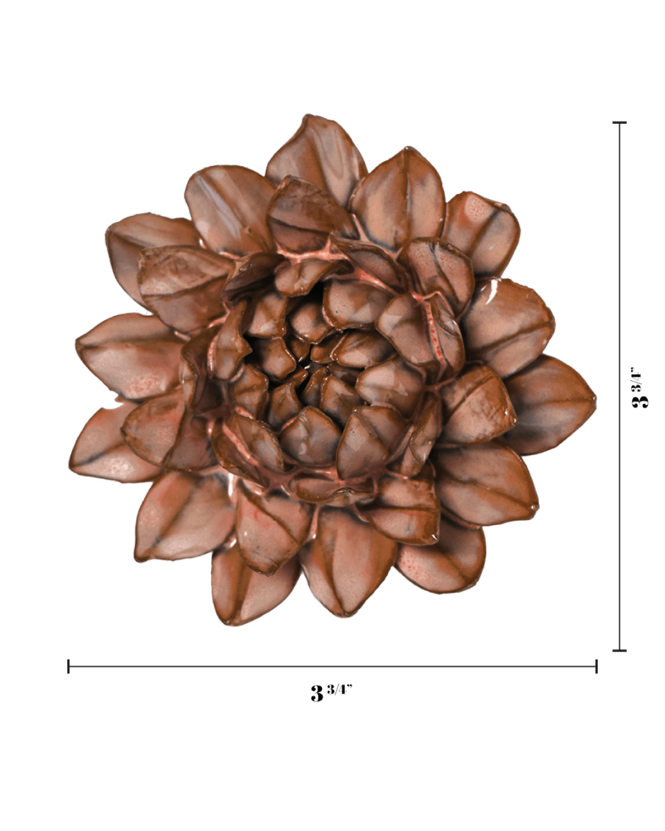 JA30 Chestnut Sugarbush Protea - Chive US Wholesale