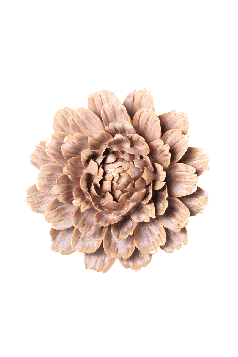 JA33 Pink Sand Brocade Marigold - Chive US Wholesale