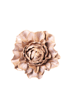 JA34 Pink Sand Hibiscus - Chive US Wholesale