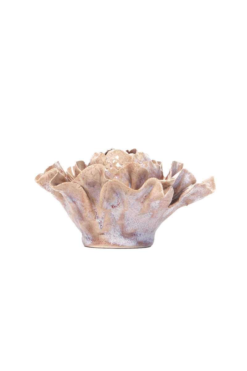 JA34 Pink Sand Hibiscus - Chive US Wholesale