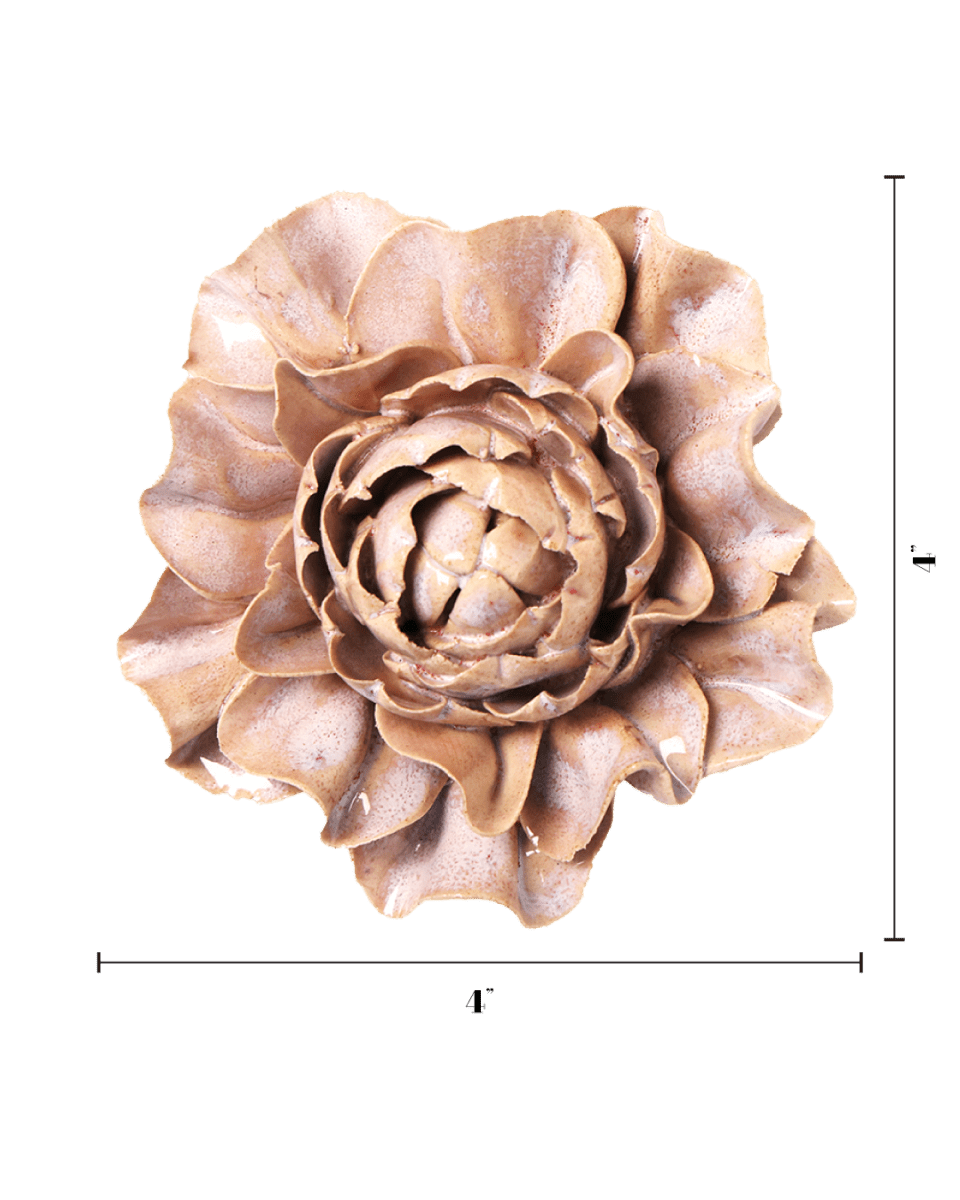 JA34 Pink Sand Hibiscus - Chive US Wholesale