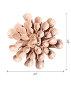 JA37 Pink Sand Great Star - Chive US Wholesale