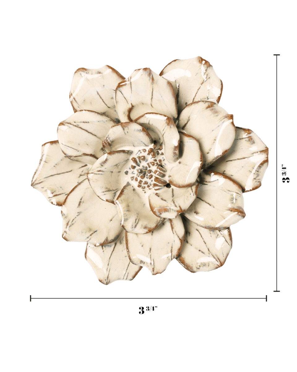 JA41 Sand Cosmos - Chive US Wholesale