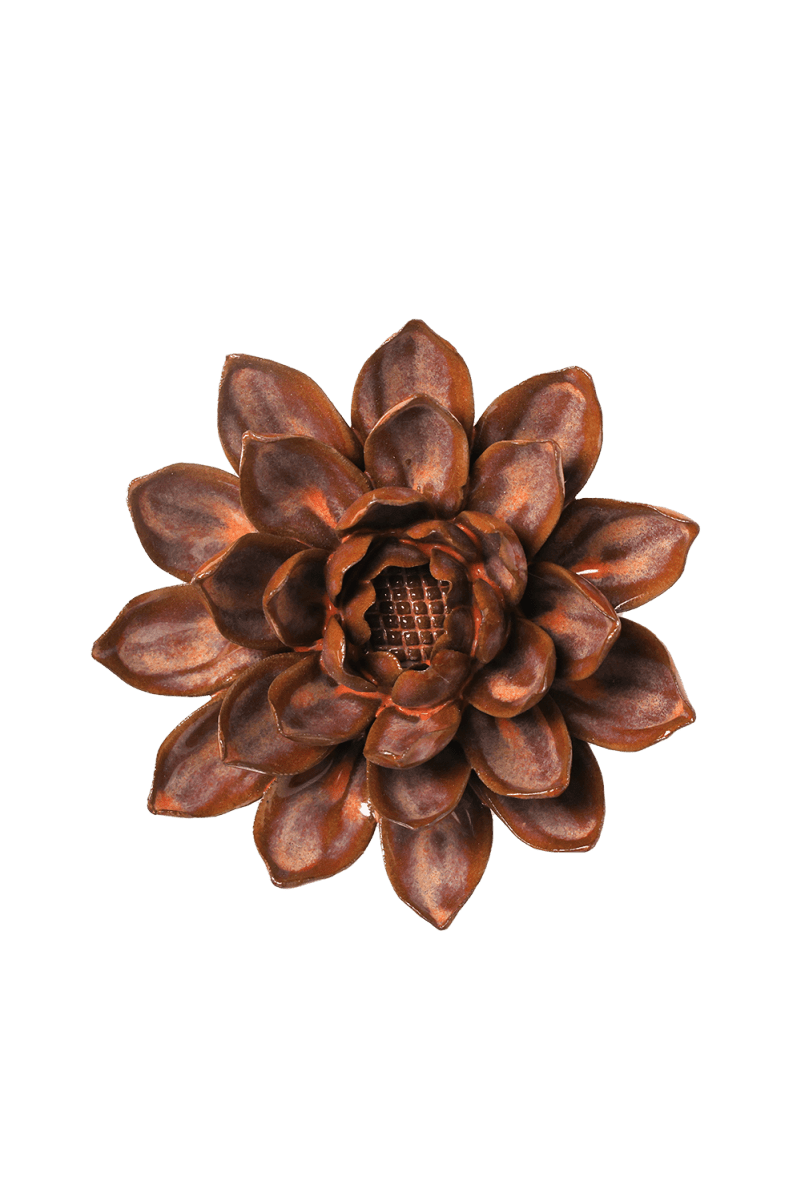 JA42 Peach Mocha Sunflower - Chive US Wholesale