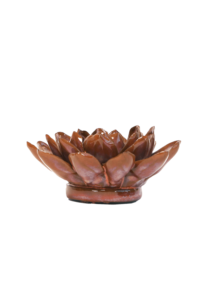 JA42 Peach Mocha Sunflower - Chive US Wholesale