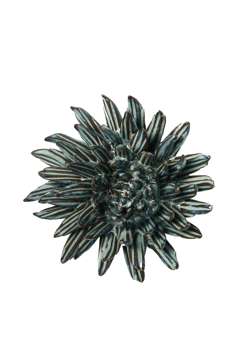 JA45 Black Blue Quill Mum - Chive US Wholesale