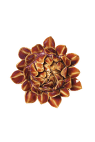 JA46 Purple Caramel Sugarbush Protea - Chive US Wholesale