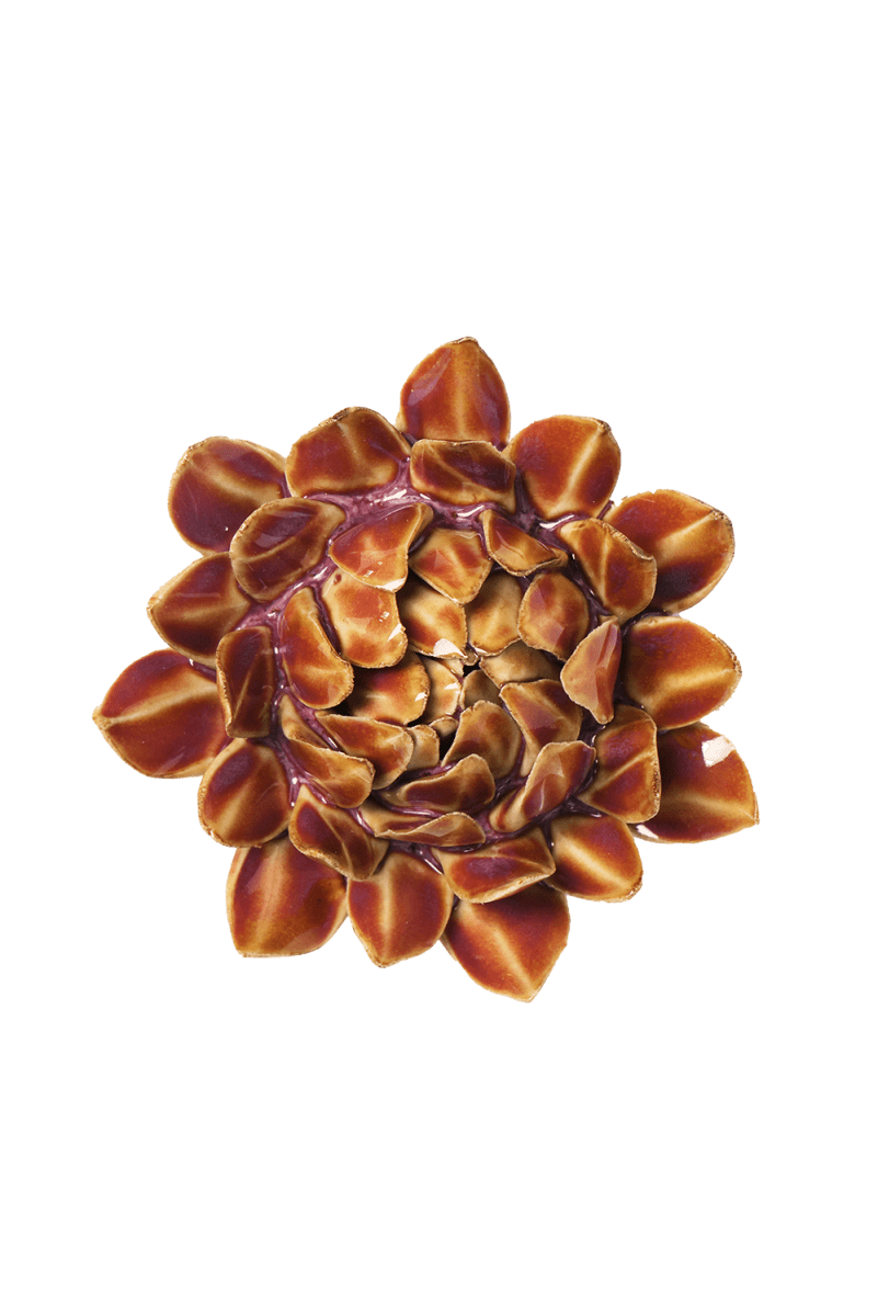 JA46 Purple Caramel Sugarbush Protea - Chive US Wholesale