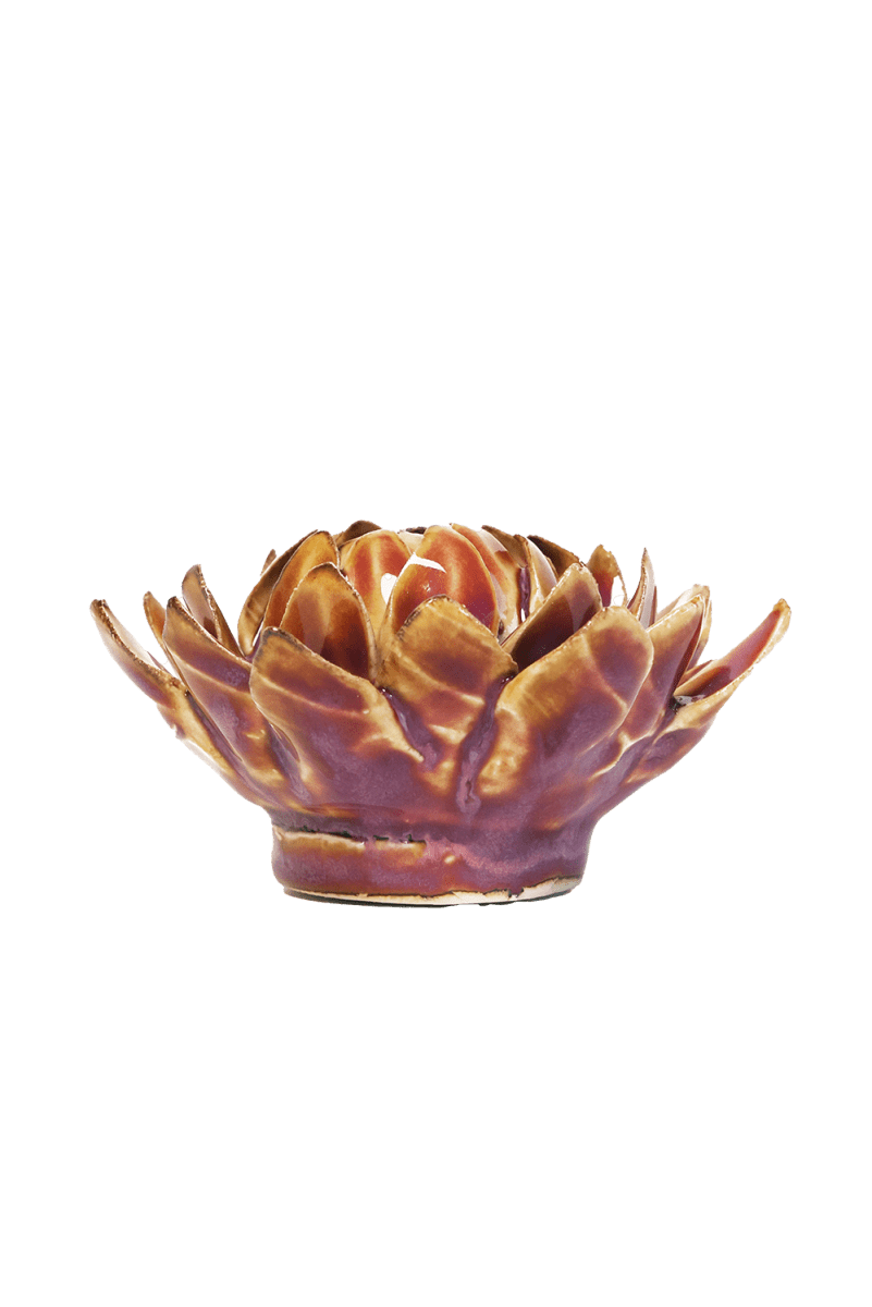 JA46 Purple Caramel Sugarbush Protea - Chive US Wholesale