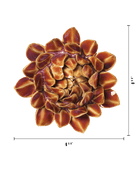 JA46 Purple Caramel Sugarbush Protea - Chive US Wholesale