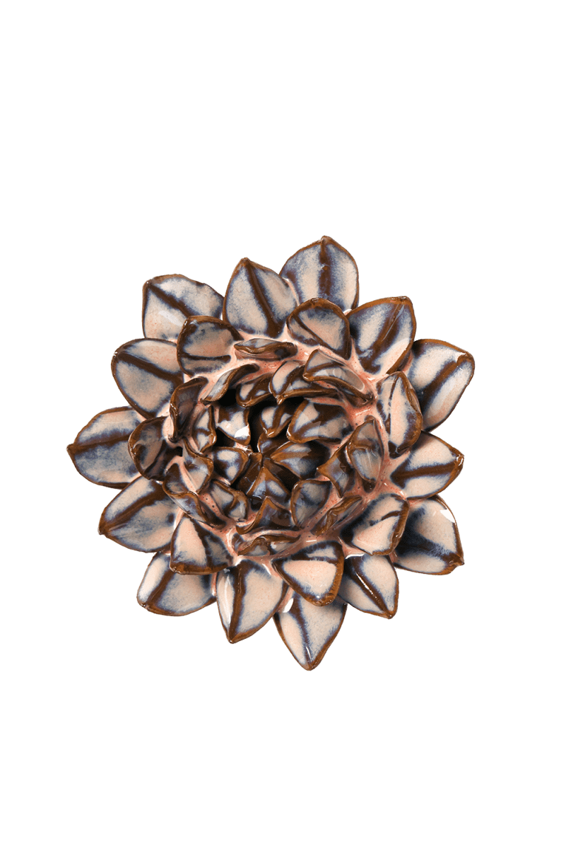 JA48 Pink Blue Sugarbush Protea - Chive US Wholesale