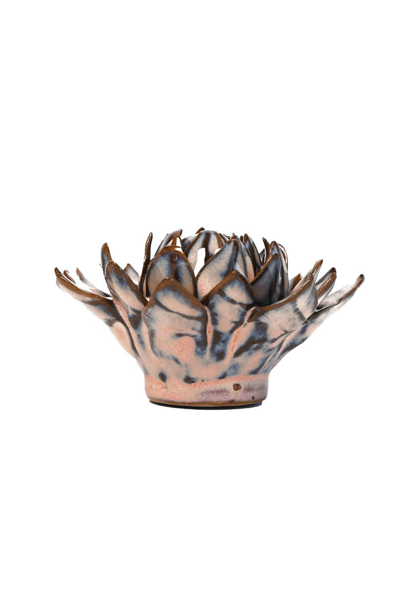 JA48 Pink Blue Sugarbush Protea - Chive US Wholesale