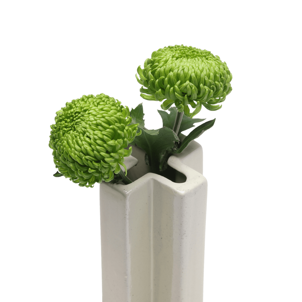 Jargogle Ceramic Unique Flower Vase - Chive US Wholesale