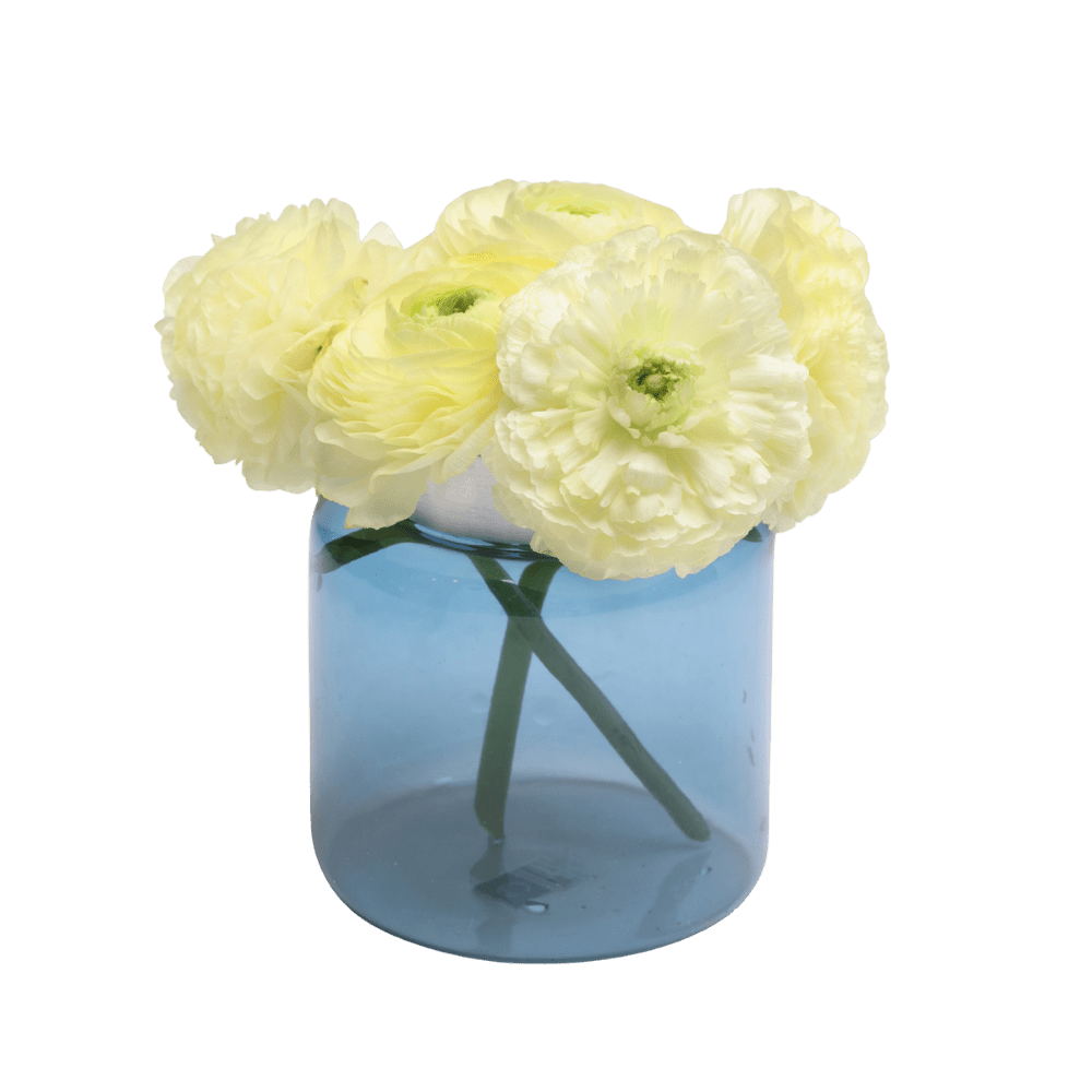 Jar Glass Modern Flower Vase - Chive US Wholesale