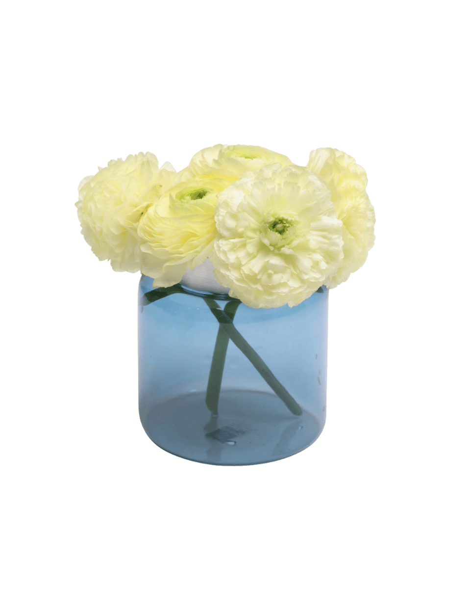 Jar Glass Modern Flower Vase - Chive US Wholesale