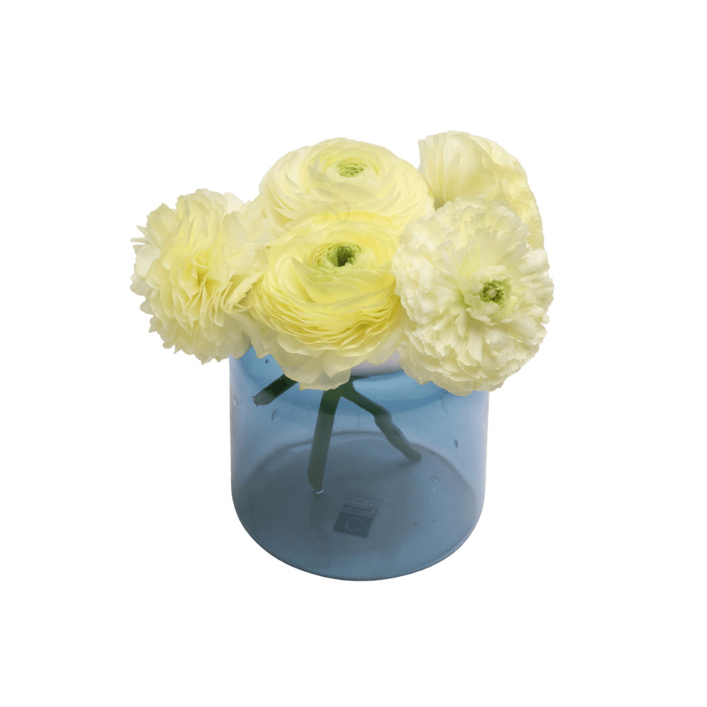 Jar Glass Modern Flower Vase - Chive US Wholesale