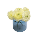 Jar Glass Modern Flower Vase - Chive US Wholesale