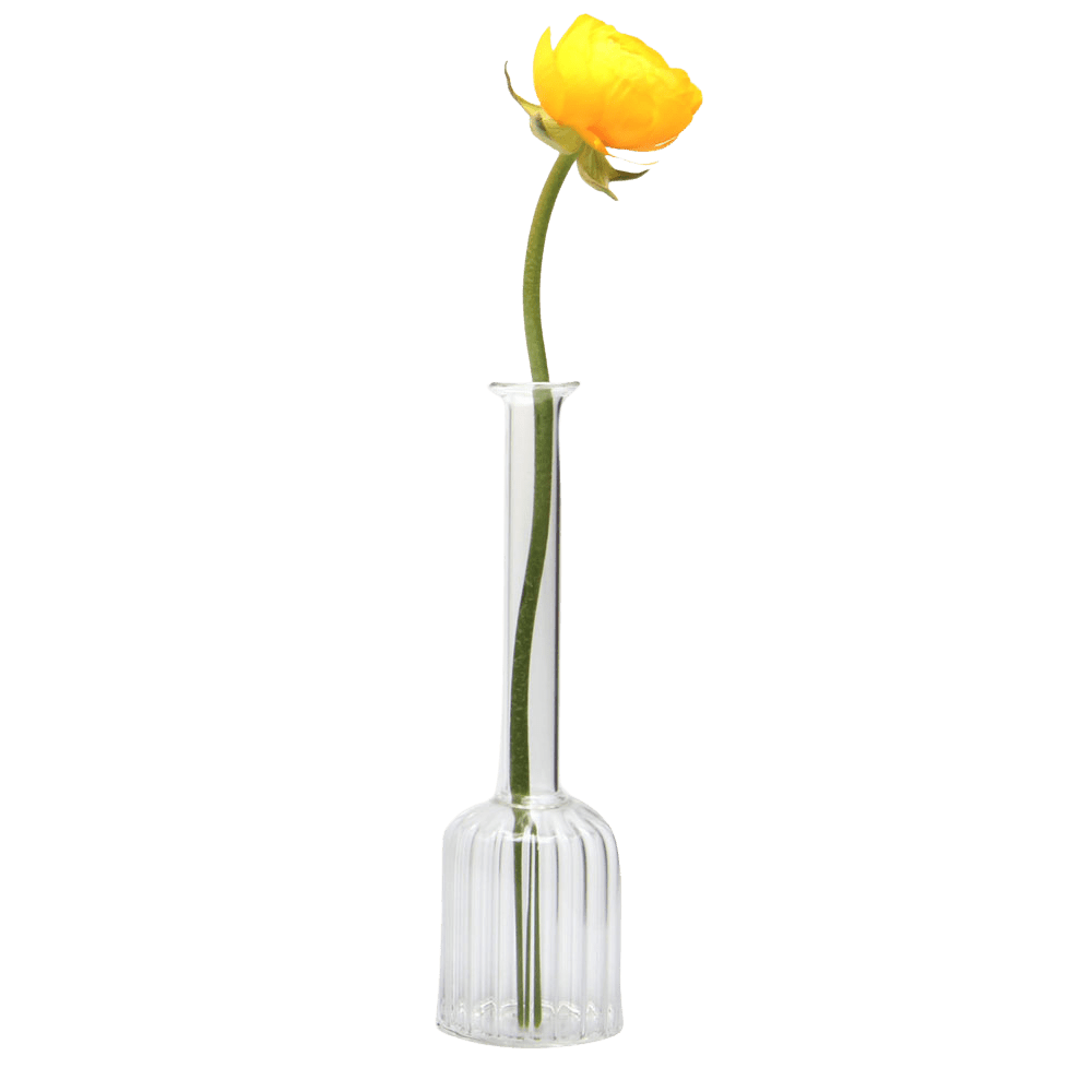 Jeanie Glass Modern Clear Flower Vase - Chive US Wholesale