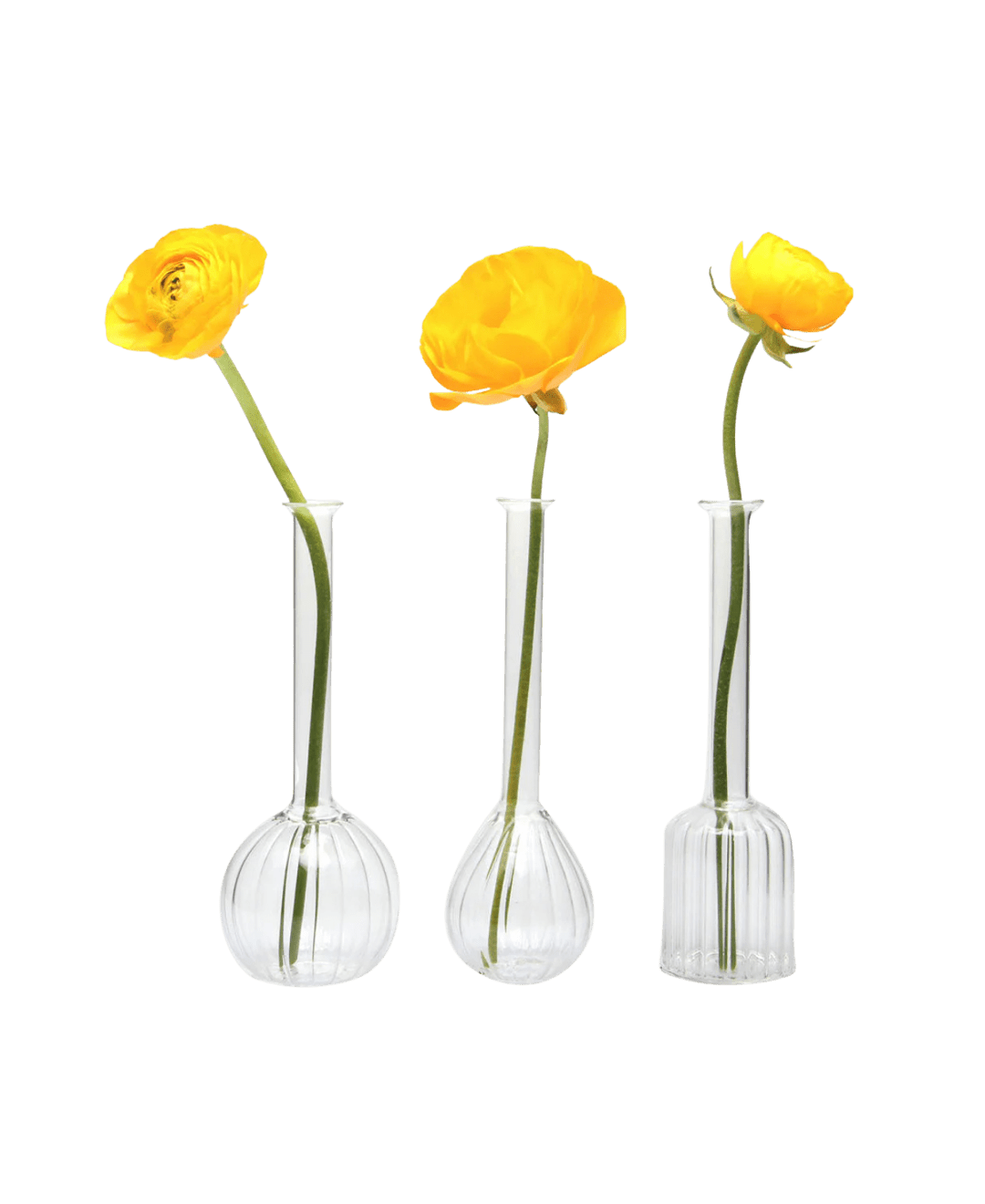 Jeanie Glass Modern Clear Flower Vase - Chive Ceramics Studio - Vases - Chive US Wholesale