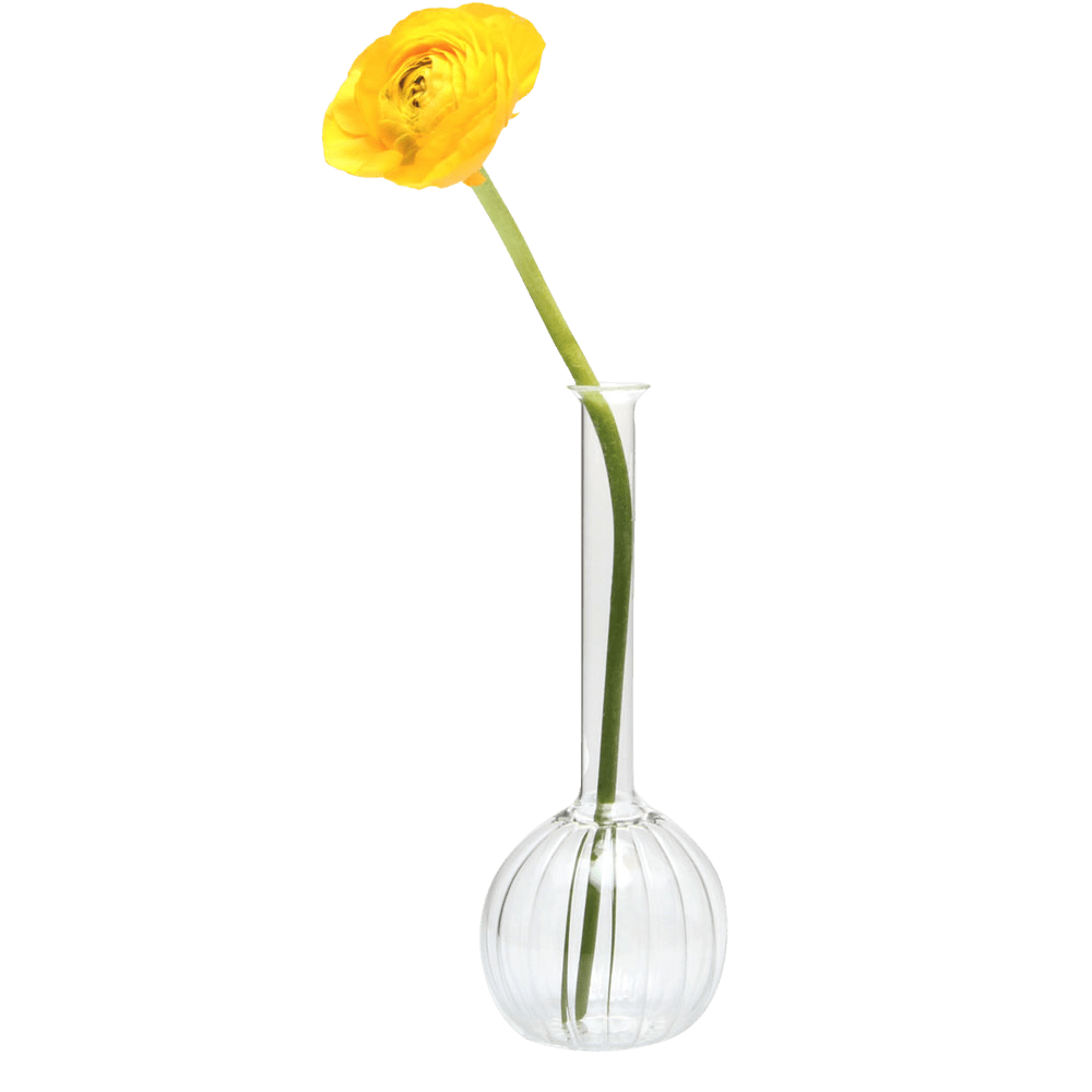 Jeanie Glass Modern Clear Flower Vase - Chive US Wholesale