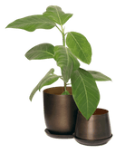 Joe Metal Pot With Drainage Hole - Chive US Wholesale