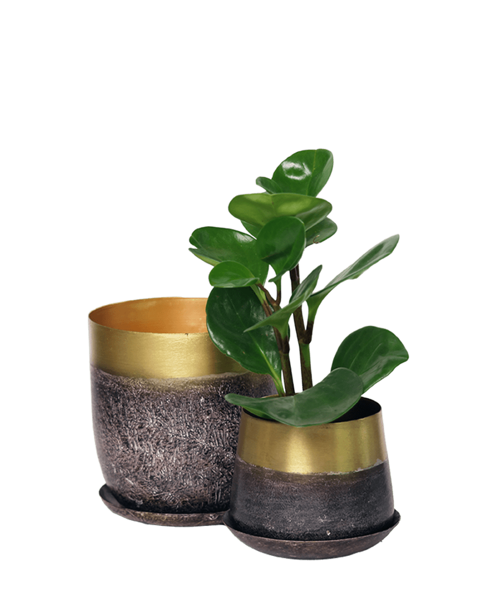 Joe Metal Pot With Drainage Hole - Chive US Wholesale