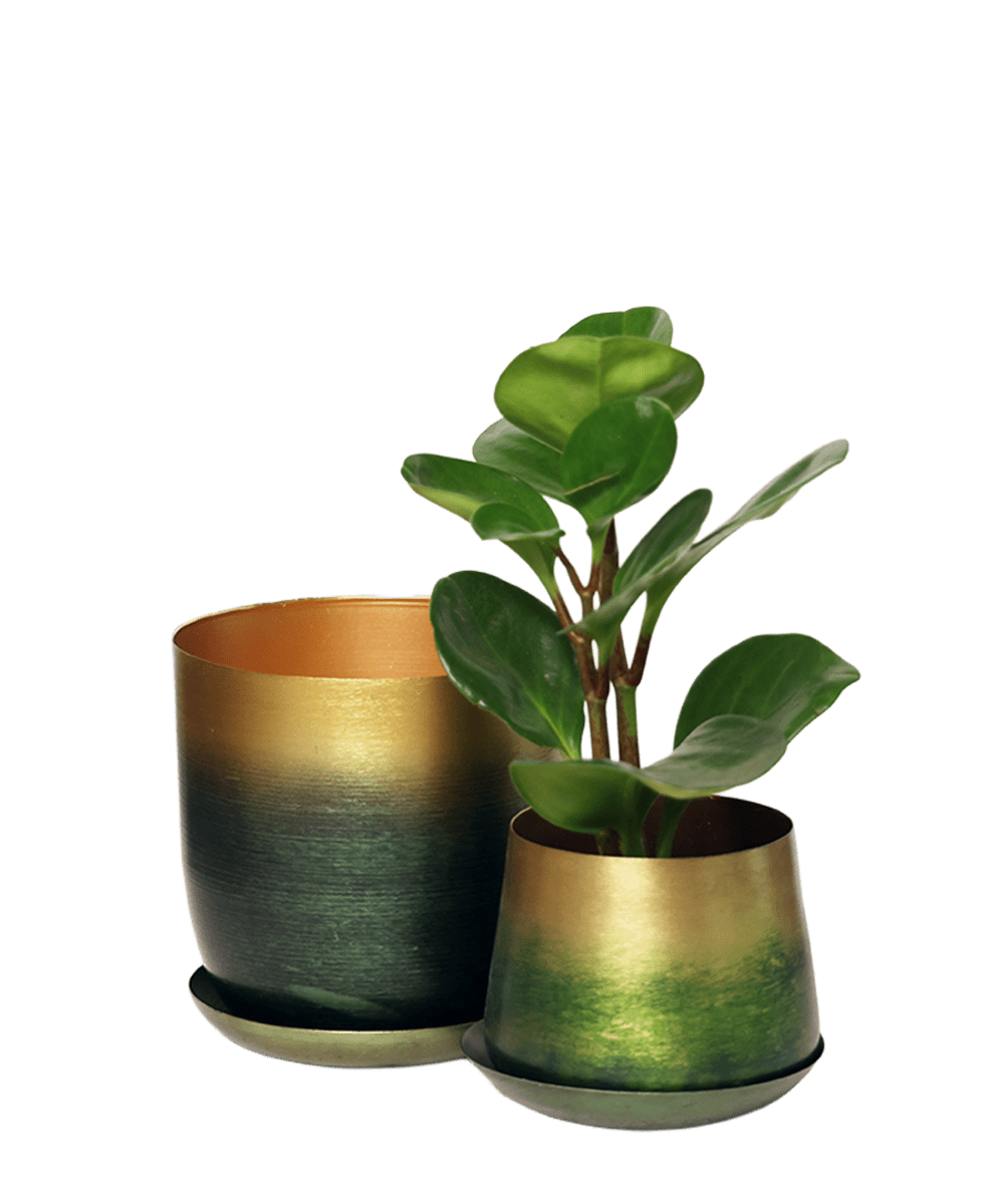 Joe Metal Pot With Drainage Hole - Chive US Wholesale