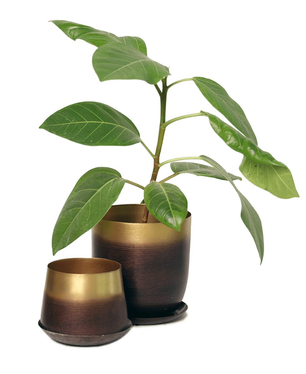 Joe Metal Pot With Drainage Hole - Chive US Wholesale