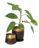 Joe Metal Pot With Drainage Hole - Chive US Wholesale