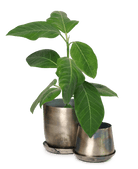 Joe Metal Pot With Drainage Hole - Chive US Wholesale