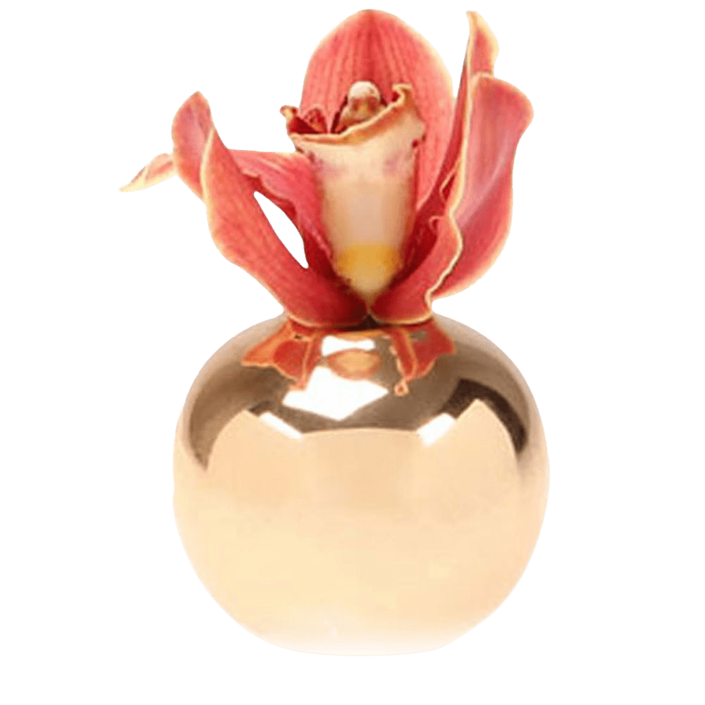 Jojo Ceramic Bud Vase For Flowers - Chive US Wholesale